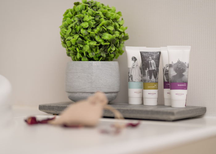 Mercure-Albury-_-Deluxe-Spa-Suite-9